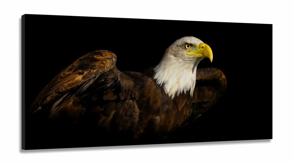 Quadros Decorativos Agui Americana em Tecido Canvas 130x60 Imagem