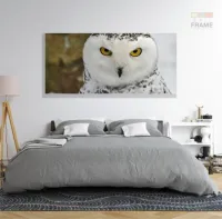 Quadros Decorativos Coruja Branca em Tecido Canvas 130x60 - Foto 6