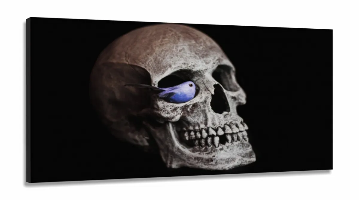 Quadros Decorativos Cranio Rock Caveira Quarto em Tecido Canvas 130x60 Imagem