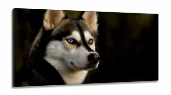Quadros Decorativos Husky Siberiano em Tecido Canvas 130x60