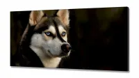 Quadros Decorativos Husky Siberiano em Tecido Canvas 130x60 - Foto 2