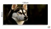 Quadros Decorativos Husky Siberiano em Tecido Canvas 130x60 - Foto 3