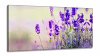 Quadros Decorativos Lavanda Flor Botanico Quarto Sala em Tecido Canvas 130x60