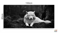 Quadros Decorativos Lobo Branco em Tecido Canvas 130x60 - Foto 3