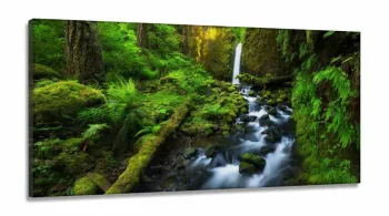 Quadros Decorativos Natureza Hd em Tecido Canvas 130x60