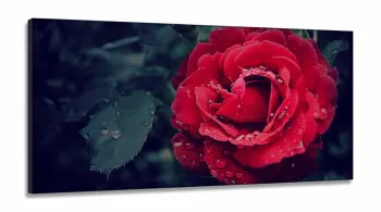 Quadros Decorativos Rosa Vermelho Botanico Sala Quarto em tecido canvas 130x60