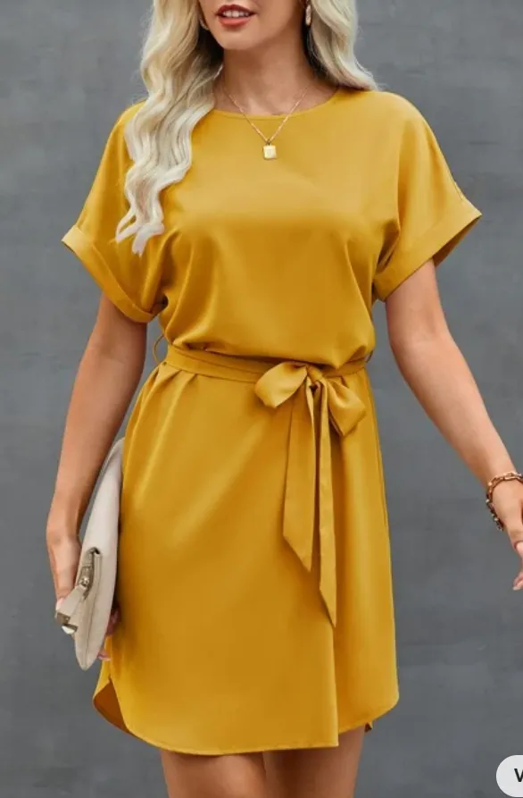 Com cinto Simples ocasional Vestido Imagem