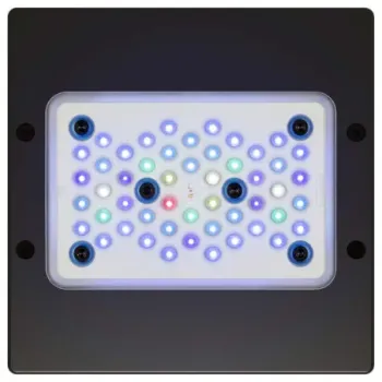 Luminária Ecotech Radion XR15 - G6 - PRO 90w - Foto 2