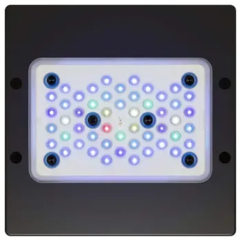 Luminária Ecotech Radion XR15 - G6 - BLUE 90w - Foto 2