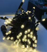 Cordão Pisca BLINDADO Externo Fixo 100 Led Branco quente - Fio reforçado Verde Macho e Femia 10 metros