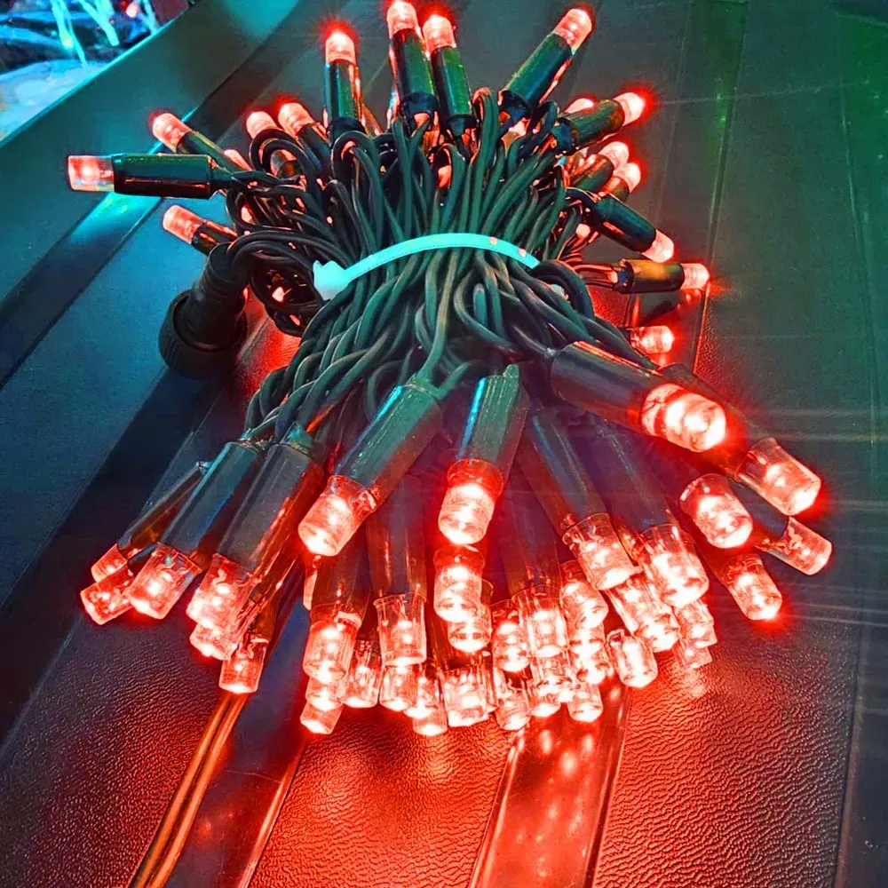 Cordão Pisca BLINDADO Externo Fixo 100 Led VERMELHO - Fio reforçado Verde Macho e Femia 10 metros Imagem