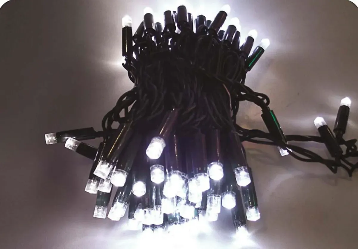 Pisca Cordao Fixo 100 leds  linear 10 metro BLINDADO - FIO REFORÇADO Imagem