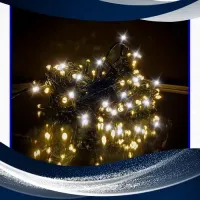 Pisca Cordao Fixo 100 leds  linear 10 metro ESTROBO