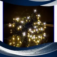 Pisca Cordao Fixo 100 leds  linear 10 metro ESTROBO