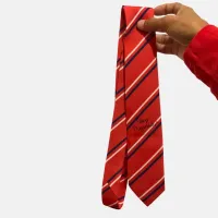 Gravata Elite Way - Listrada Tradicional - Foto 3