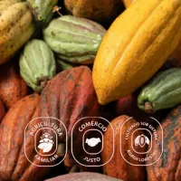 Tablete de Chocolate 70% Puro com pedacinhos de Café -ZERO AÇÚCAR - Foto 4