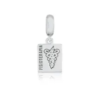 Berloque de Prata 950 -  Fisioterapia -  251106