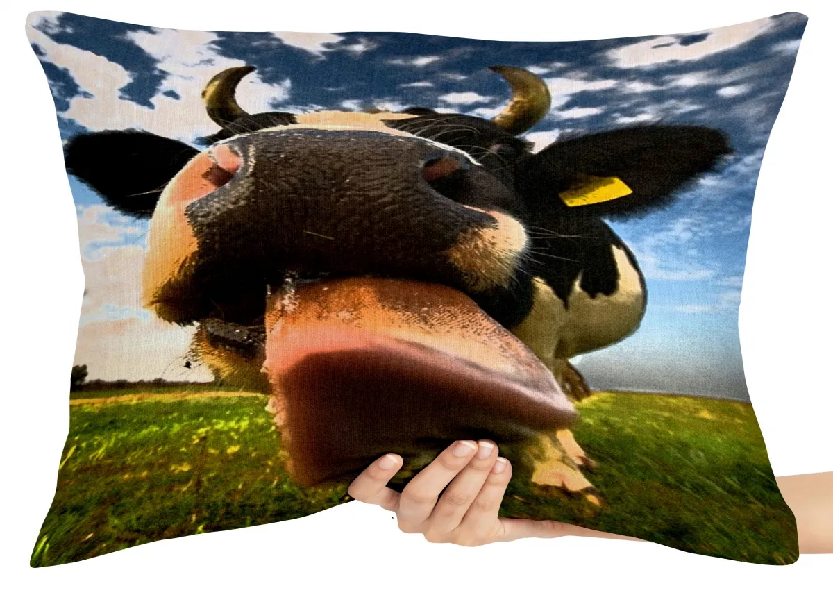 Capa de Almofada ou Travesseiro Vaca tá coquinho vaquinha Imagem