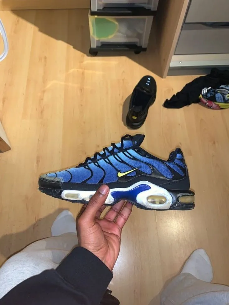 Nike Air Max Tn ( Azul ) Imagem