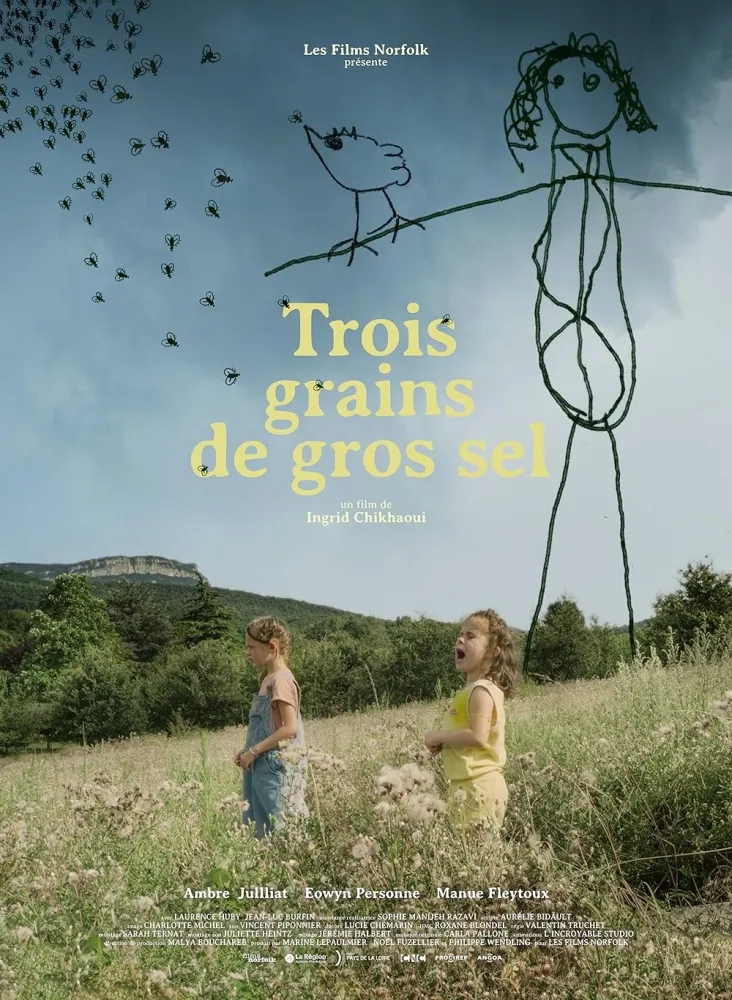 Trois grains de gros sel (2022) Ingrid Chikhaoui DVD - legendas em português Imagem