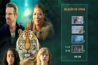 DVD O DESPERTAR DO TIGRE - QUEEN LATIFAH - Foto 3