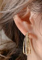 2 Peças Brincos De Argola Grande E Fosco Com Personalidade Exagerada Para Mulheres, Acessórios De Festa - Foto 3