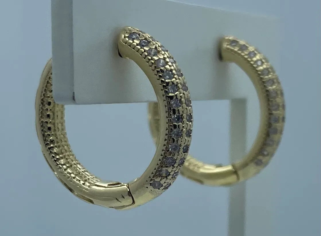 Argola cravejada  22940P Imagem