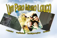 DVD UM PATO MUITO LOUCO - Foto 2