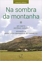 NA SOMBRA DA MONTANHA (PRODUTO USADO - MUITO BOM)