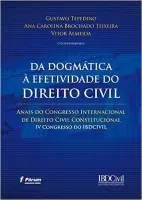 DA DOGMATICA A EFETIVIDADE DO DIREITO CIVIL (PRODUTO USADO - MUITO BOM)