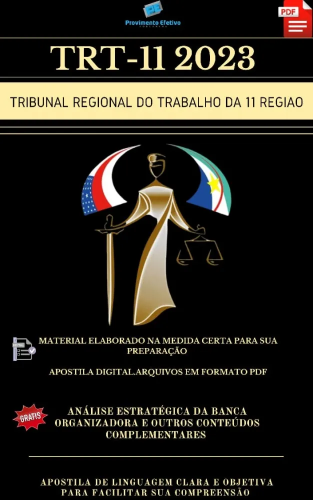 Apostila TRT 11 Regiao 2023 Analista Judiciário Contabilidade
