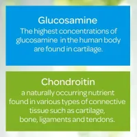 Glucosamine Chondroitin MSM Puritan's Pride C/160 caps  Triple Strenght Joint Soother Importado - Foto 4