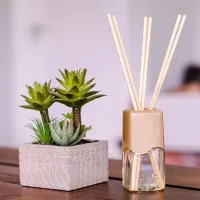 Difusor de Aromas 100ml Coala Capim Limão - Foto 4