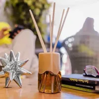 Difusor de Aromas 100ml Coala Especiarias - Foto 3