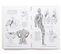Anatomia artística vol. 7: Figuras musculosas | Michel Lauricella - Foto 4
