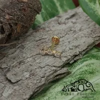 Labret CLUSTER SLIM em TITÂNIO PVD GOLD TRIO Ponto de Luz 743 - Foto 2