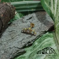 Labret CLUSTER em TITÂNIO PVD GOLD com 5 Pedras  868 - Foto 2