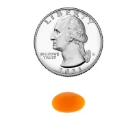 Coenzima Coq10 100 Mg Spring Valley® 60 Softgels Original - Foto 6