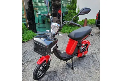 Scooter Elétrica Tailg DYFLY Imagem