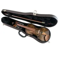 VIOLINO 4/4 ROLIM ENVELHECIDO BRILHANTE - Foto 2