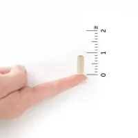 Probiotico Dr Formulated Mood+ 50Billion C60 Caps - Foto 6