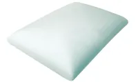 TRAVESSEIRO VISCOELASTICO PVC 41X62X15