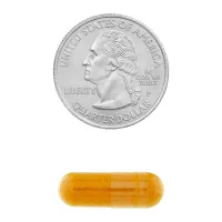 Turmeric Curcumin 1000mg - 60 Un - Vegano Spring Valley Importado - Foto 11