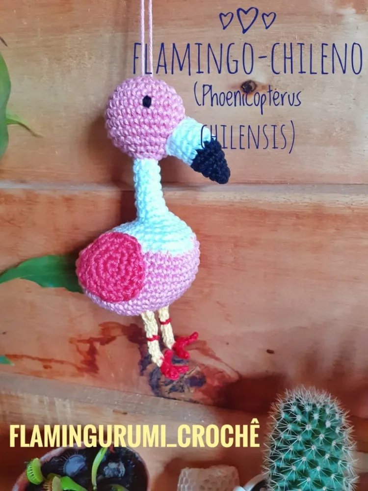 Flamingo Chileno  Imagem