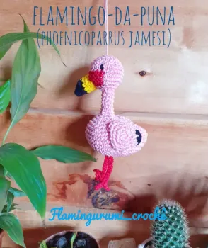 Flamingo da Puna