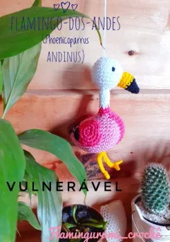 Flamingo dos Andes