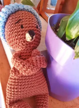 Toni, o urso 