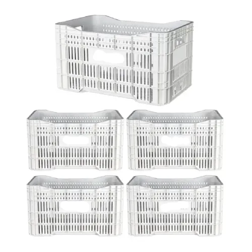 Caixa Plástica Gruplast Horti Frutti Branca 20kg  50L  5UN Imagem