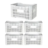 Caixa Plástica Gruplast Horti Frutti Branca 20kg  50L  5UN