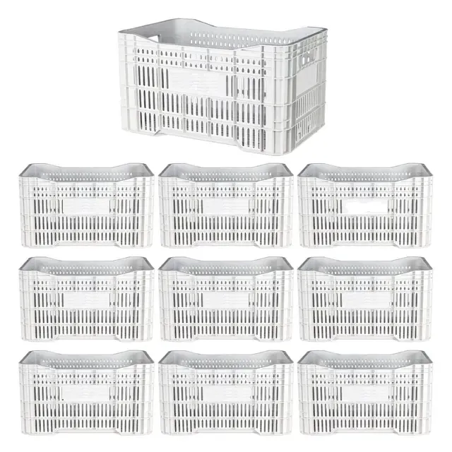 Caixa Plástica Gruplast Horti Frutti Branca 20kg  50L  10UN